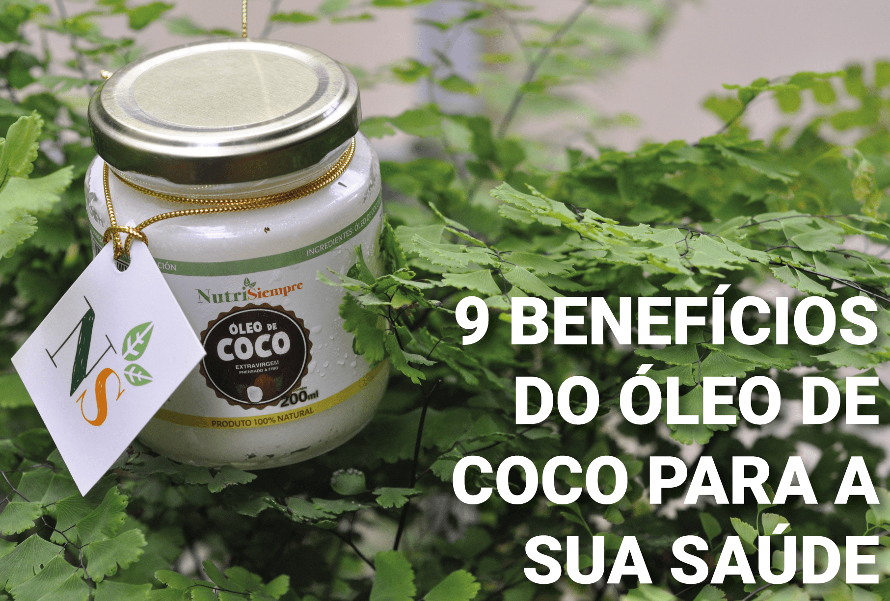 9 Estudos Científicos sobre o Óleo de Coco